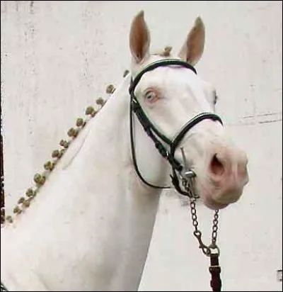 Quelle est cette robe ?