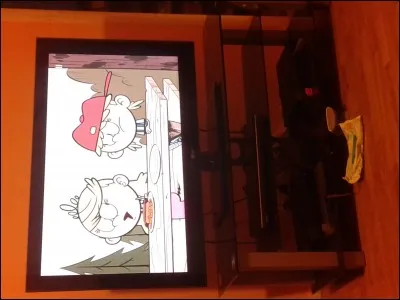 Qui sont ces jumelles ?