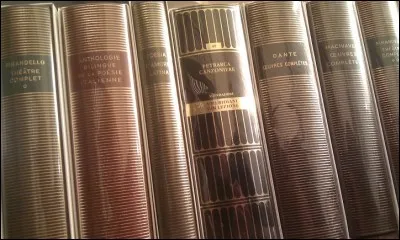 Grand écrivain du XIXe siècle mort prématurément. Sa vie est toujours restée dans l'ombre malgré d'innombrables recherches. Il est l'auteur d'une formidable et complexe uvre de prose poétique organisée en divers chants.