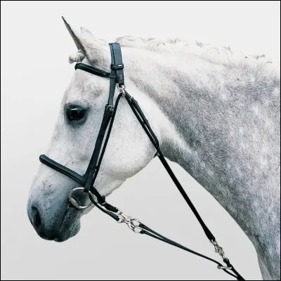 Qu'est-ce qu'est cette chose qui descend sous l'encolure du cheval ?