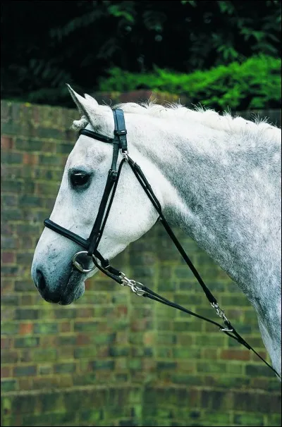 A quoi cela sert-il ?