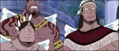 Épisode 189 - Pour quelle raison les Shandias étaient-ils fâchés après l'équipage de Norland juste avant leur départ de l'île ?