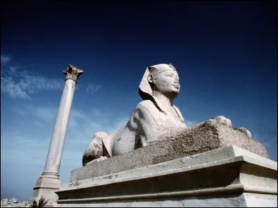À la pointe de la ville, Pharos invite à aller imaginer la merveille de l'Antiquité qui s'y trouvait. On rêve aussi en considérant les connaissances que devaient contenir la bibliothèque : alors, il faut profiter de cette merveilleuse ville bien conçue, aux frontières du Nil et de la Mare nostrum.
Quelle est cette cité dont l'Unesco évalue le projet d'un musée subaquatique dans la baie éponyme ?