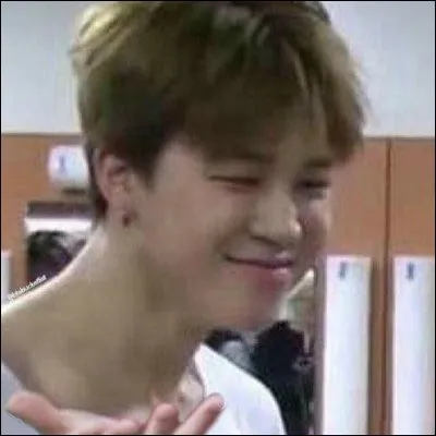 Quel membre du groupe est surnommé ''Chimchim'' ?