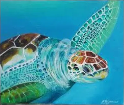 Qui Tortue pointe-t-elle du doigt avant de mourir ?