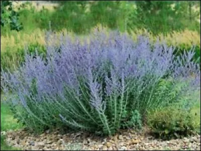 Quelle est son exposition ?