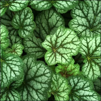 Quelle est son exposition ?