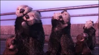 Dans quel Disney peut-on voir cette scène ?