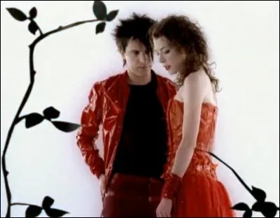 Nicola Sirkis chante ''Le Grand Secret'' en duo avec la Québécoise Melissa Auf der Maur. Qui a écrit un roman portant le même titre que celui de cette chanson ?