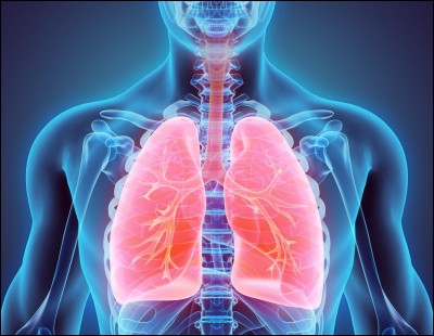 Quel terme médical correspond au mieux à la définition de "maladie pulmonaire associée à un resserrement des voies aériennes" ?