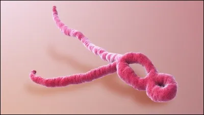 Sur quel continent une épidémie du virus Ebola est-elle apparue en 2014 et 2015 ?