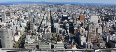 Cette grande ville japonaise, troisième métropole du pays, c'est :