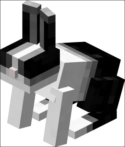 Sur "Minecraft" comment doit-on renommer un lapin pour qu'il soit blanc avec des taches ?