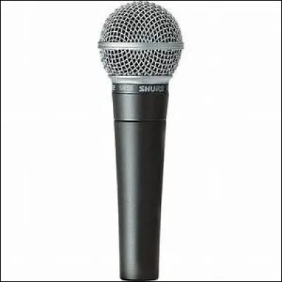 Qui est le chanteur principal ?