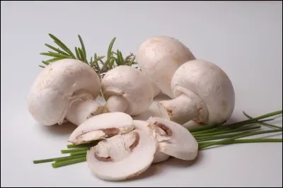 Lesquels des champignons cités ci-dessous peuvent être mangés crus sans problème ?