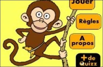 Quelle différence y a-t-il entre quiz et test ?