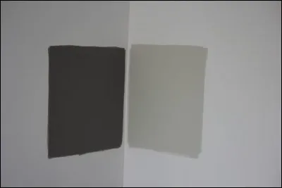 Qui est 'Entre gris clair et gris foncé' d'après le titre d'un de ses albums ?