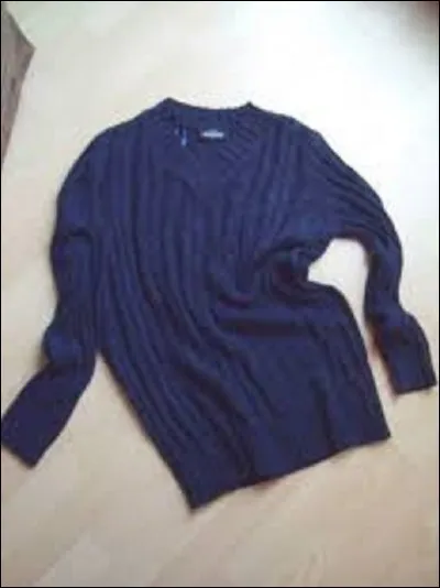 Qui interprète 'Pull marine', chanson coécrite avec Serge Gainsbourg ?