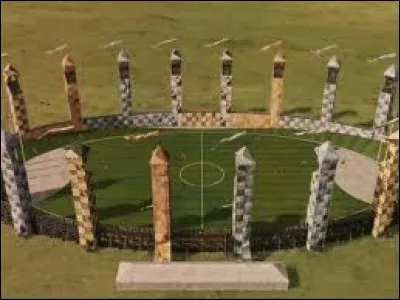 Les élèves peuvent faire partie de l'équipe de Quidditch de leur maison, exceptés ceux de première année. Mais qui outrepasse la règle ?
(Une réponse attendue)