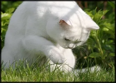 Qui pr&eacute;f&egrave;res-tu ?