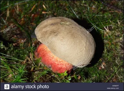 Et si nous observions celui-là, maintenant ?