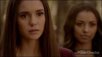Dans le final de la série, comment Elena se réveille-t-elle ?