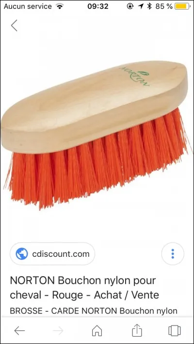 Quelle brosse est-ce ?