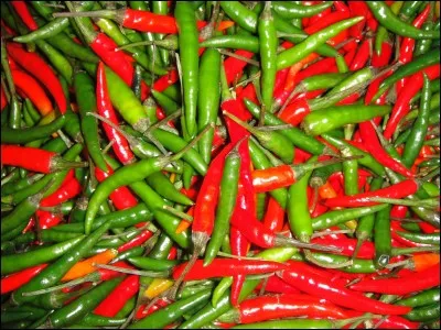 Quel est le piment le plus fort ?