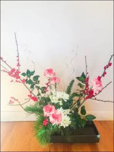 C'est la partie supérieure, arrondie et très large de l'os iliaque.