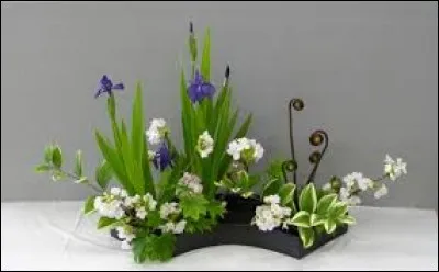 Grande coupe à boire, le plus souvent en métal et munie d'un couvercle, utilisée surtout au Moyen Âge :