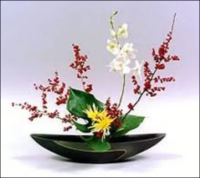 On y élève des juments, des étalons et des poulains.