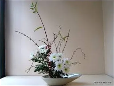 Javelots, lances, sagaies :