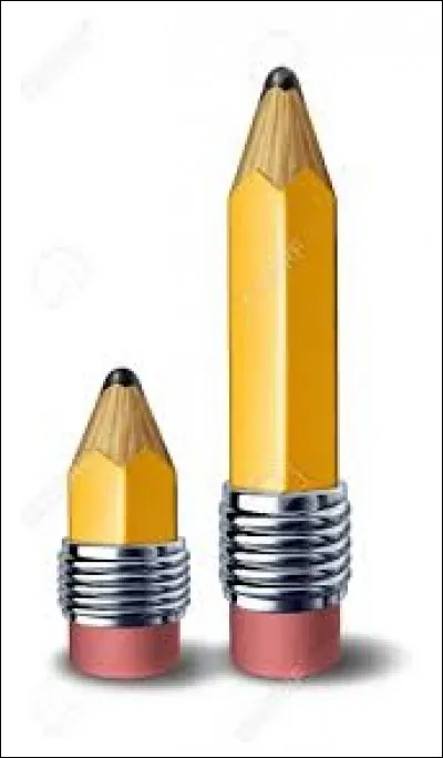 Quel est le pénis le plus petit au monde ?