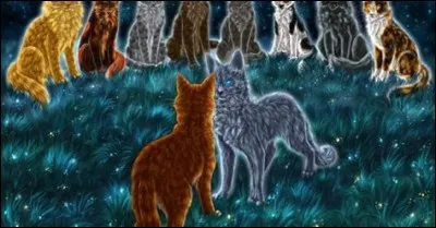 Combien de vies Étoile de Feu a-t-il perdues dans le cycle 3 ?