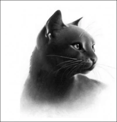 Quels sont les lieutenants d'Étoile du Léopard dans le cycle 3 ?