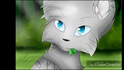 Qui était le 1er mentor d'Œil de Geai ?