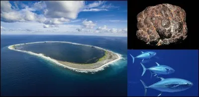 Cette île de 1 km de diamètre environ nous permet à la France de disposer d'une surface d'une Zone Economique Exclusive d'environ 435 000 km2. Elle pourrait nous permettre la pêche au thon et l'exploitation de nodules polymétalliques de cuivre et de nickel.
Où sommes-nous ?