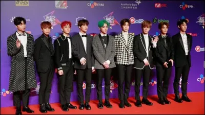 Qui est le maknae du groupe Stray Kids ?