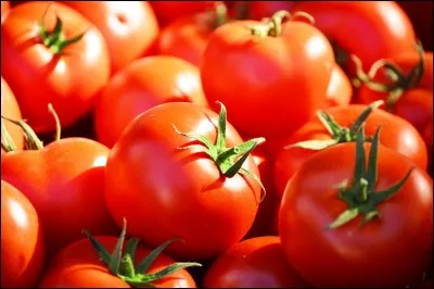 Les tomates sont des fruits :