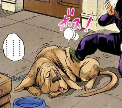 Comment s'appelle le chien de Koichi ?