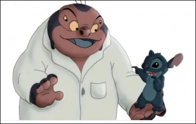 Quel est votre r&ecirc;ve ?