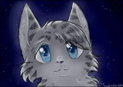 Je suis morte courageusement dans les montagnes. Nuage Noir me pleure pendant longtemps. Qui suis-je ?