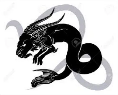 Le signe astrologique du Capricorne.
