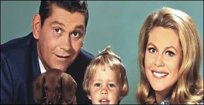 Dans quelle série télévisée peut-on voir la famille 'Stevens' ?