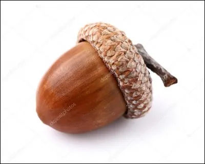 Qu'est ce qu'une "balane" ?