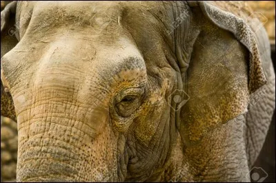 La "barologie" est...