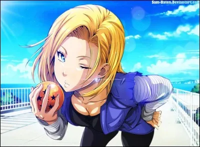 Dans quel manga peut-on voir C-18 ?