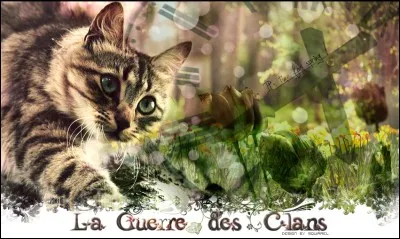 Pour finir, une mini charade : 
Mon premier est un fruit vert ou noir, avec un gros noyau à l'intérieur. 
Mon deuxième se respire, et est chargé d'oxygène. 
Mon tout est le compagnon de Princesse dans LGDC !