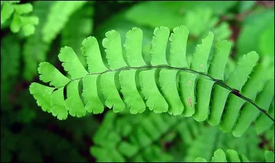 Quelle est son exposition ?