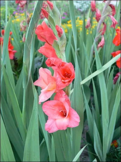 Quelle est son exposition ?